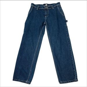 BDG Urban Outfitters Dark Wash Carpenter Jeans Size 25